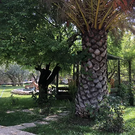 Hotel Yengec Restaurant *